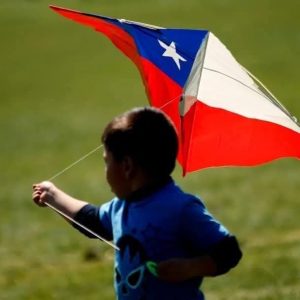 6 UNIDADES DE COMETA GRANDE CHILE