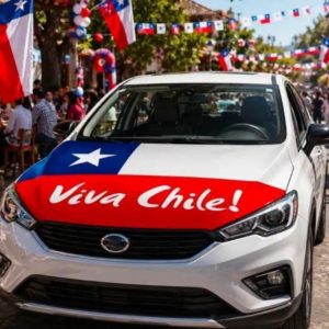 10 UNIDADES DE CUBRE CAPO CHILE