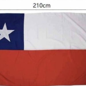 10 UNIDADES BANDERA BORDADA 210x140CM